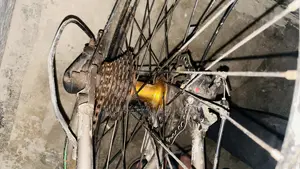 Running Cycle
