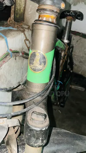 Running Cycle