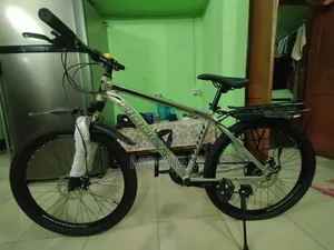 অ্যাডার সাইকেল