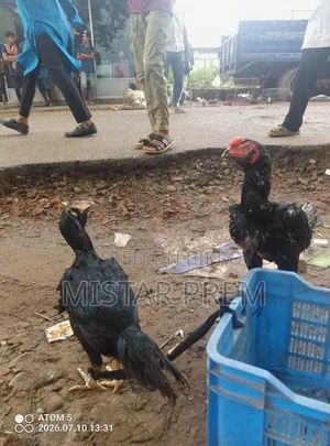 বিক্রি হবে