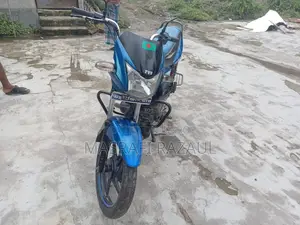টিভিএস ২০১০ নীল
