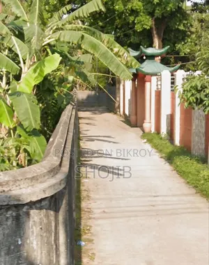 মাহিগঞ্জ ৩ শতক জমি