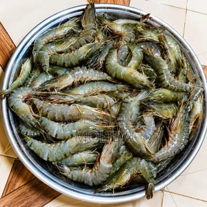 Bagda Shrimp