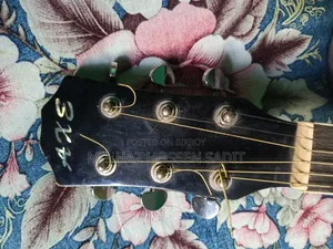 AXE 48C Taiwan Verient Guiter