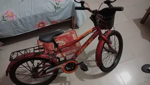 জেন জি বাইসাইকেল