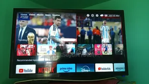 32 Inch Smart TV Voice Control
