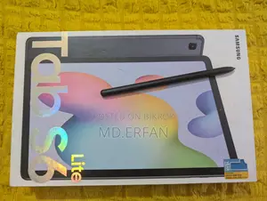 Original Samsung Galaxy Tab S6 Lite S Pen (2024 Version)