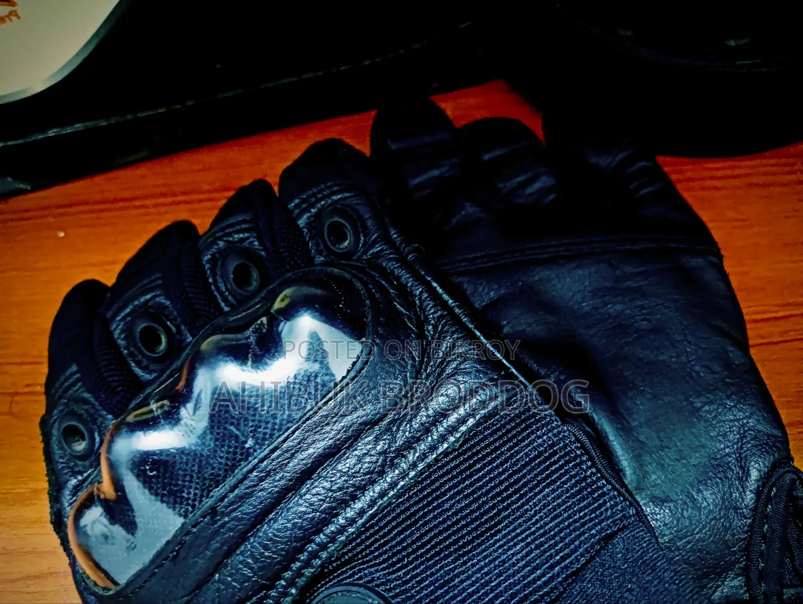 Hand Gloves 🏍️🧤