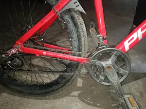 ফিনিক্স হ্যারড ০১ সাইকেল