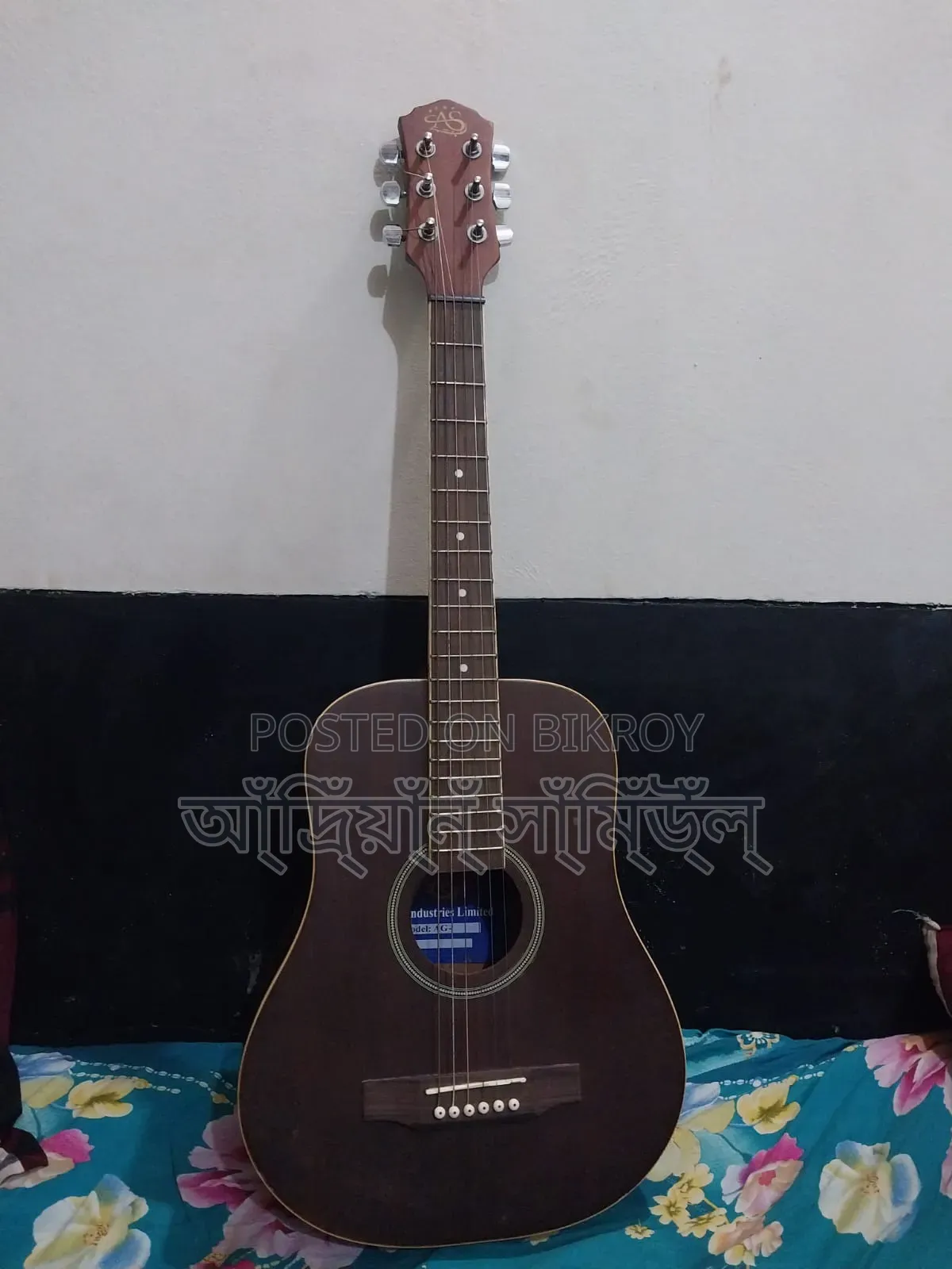 এজি গিটার ১০০% ফ্রেশ