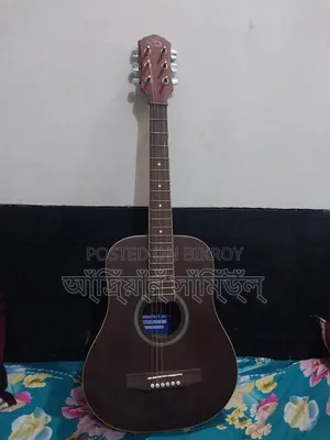 এজি গিটার ১০০% ফ্রেশ