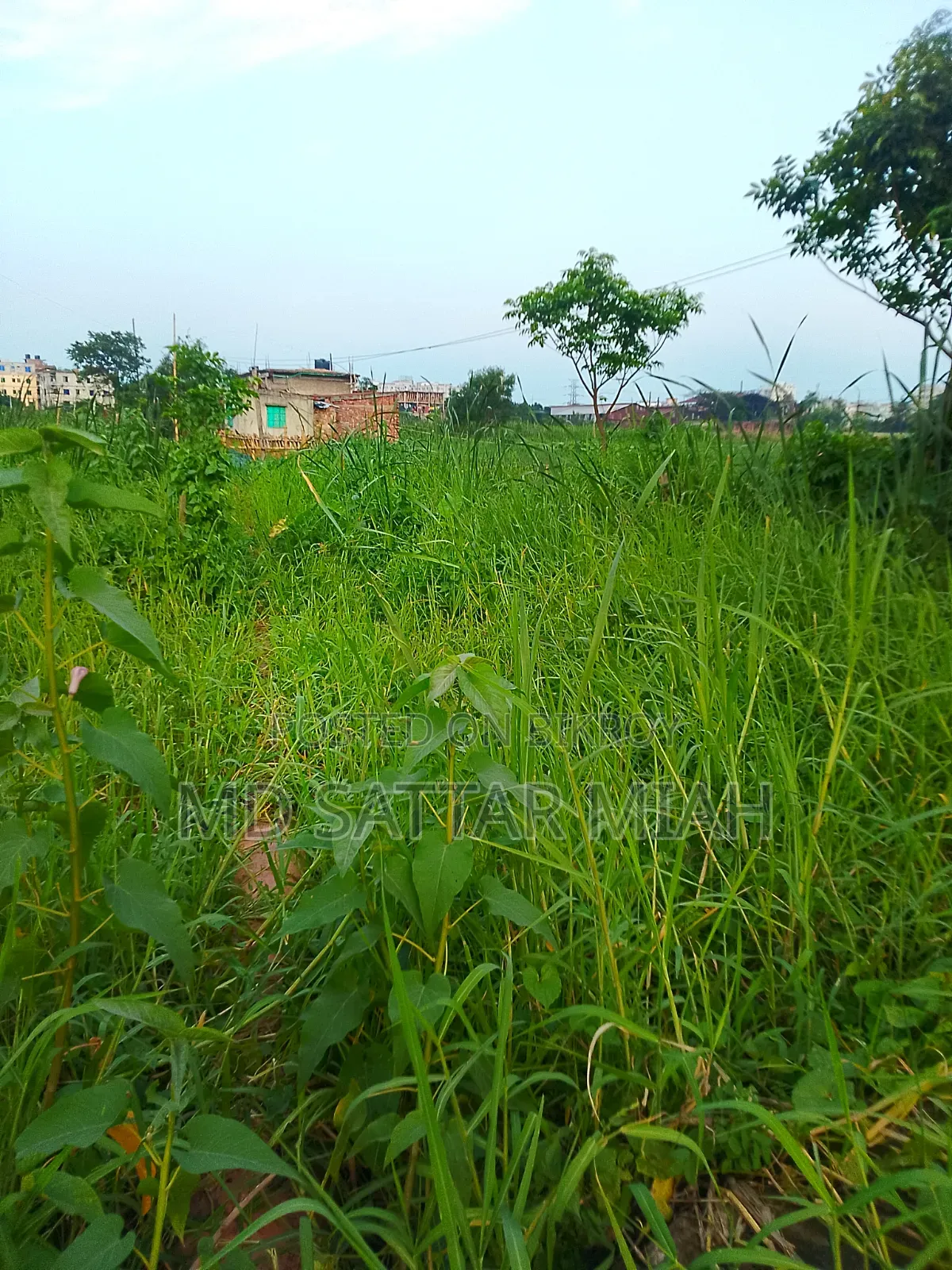 1.5 Katha Demra, Dhaka, Mauza: Paiti-17
