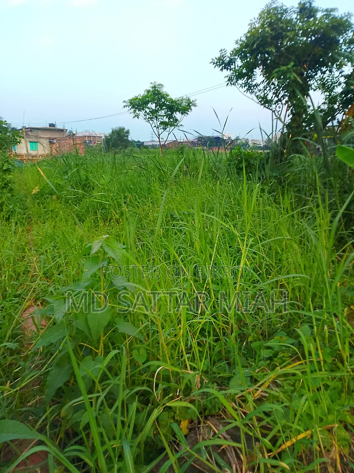 1.5 Katha Demra, Dhaka, Mauza: Paiti-17