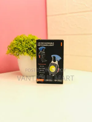 W5147 LED Rechargeable Campaign Light