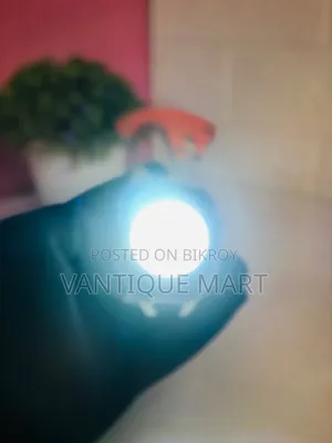 W5147 LED Rechargeable Campaign Light