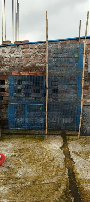 পাখির খাঁচা