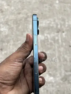 Apple iPhone 12 Pro Max 256 GB Blue