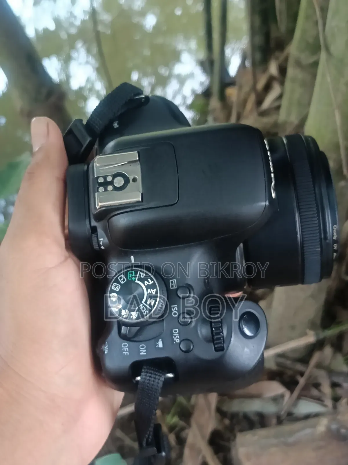 Canon Camera