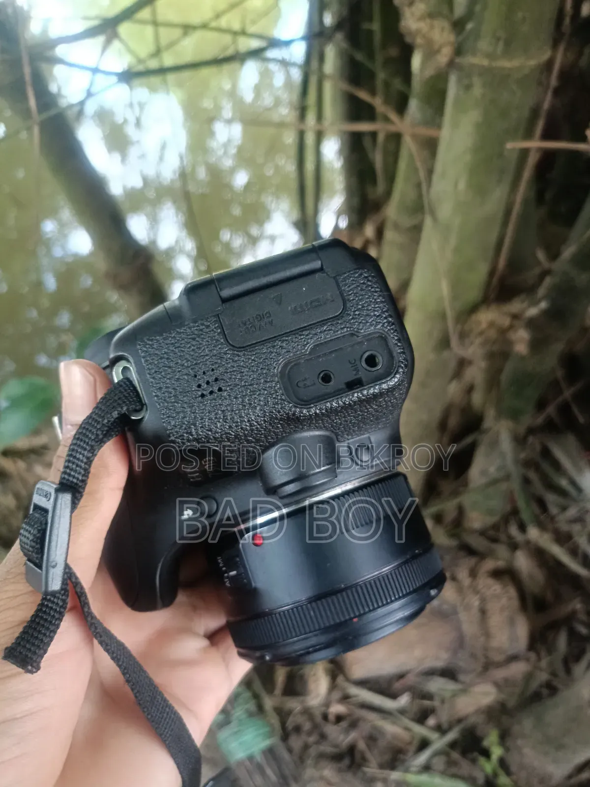 Canon Camera