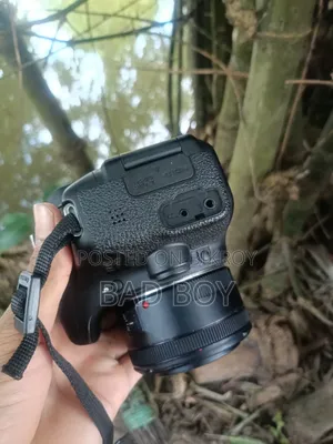 Canon Camera
