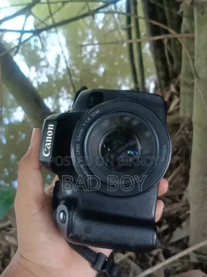 Canon Camera