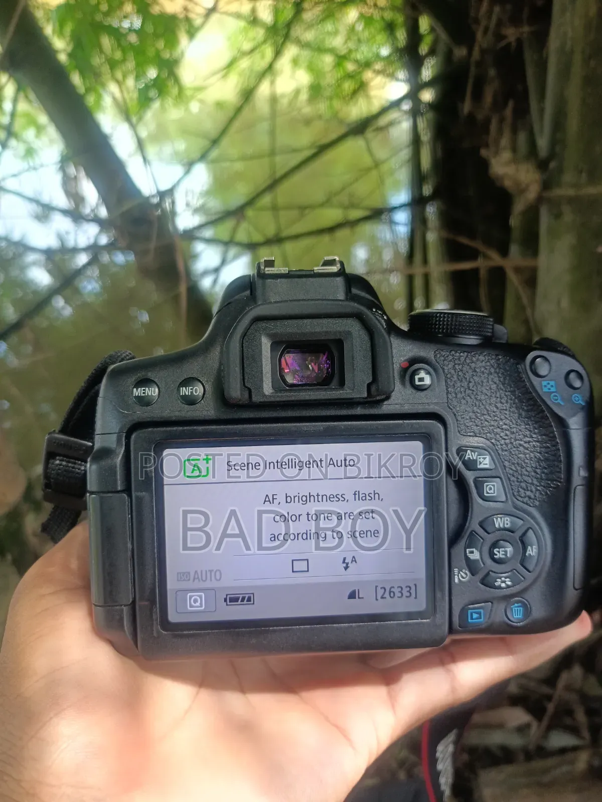 Canon Camera