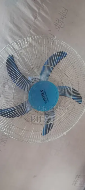 Noha Fan Nhn2318