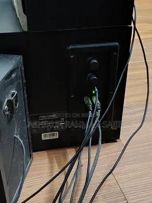 মাইক্রো ল্যাব টিএমএন১ ৪:১ নন ব্লুটুথ।