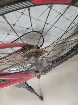 Regular Bicycle