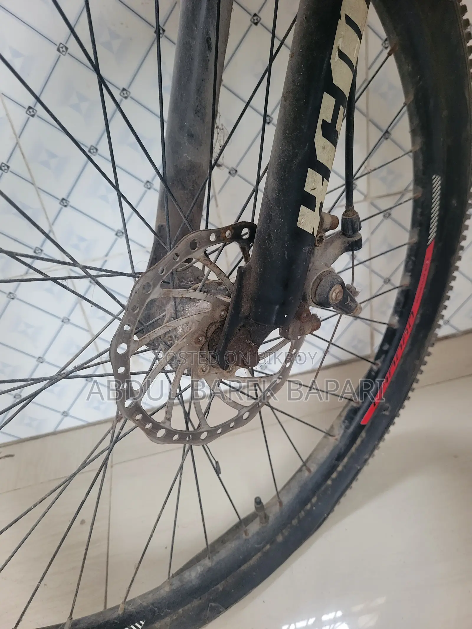 Regular Bicycle