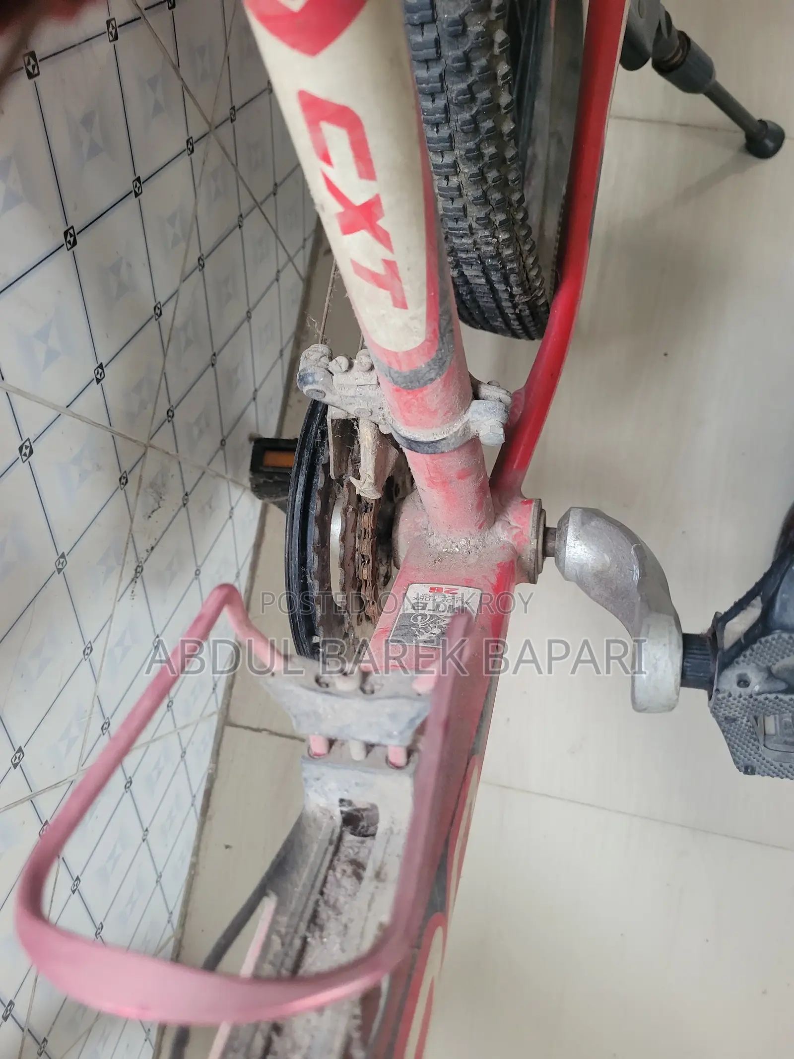 Regular Bicycle