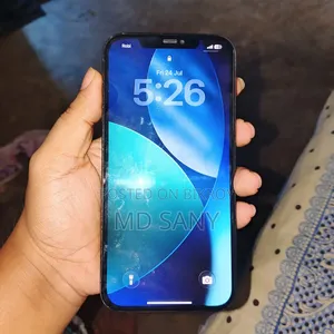 Apple iPhone 12 Pro Max 256 GB Blue