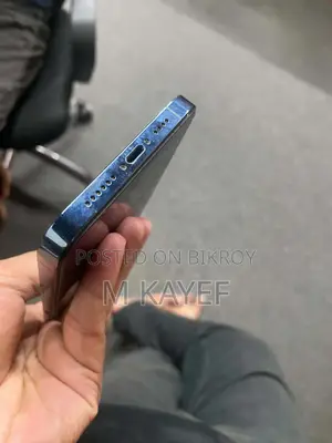 Apple iPhone 12 Pro Max 256 GB Blue