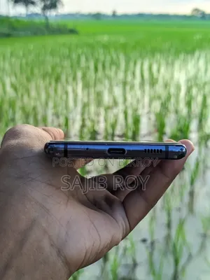স্যামসাং গ্যালাক্সি এস২০ এফই ৫জি ২৫৬ জিবি নীল