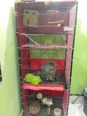 ৩ খোপ খাঁচা