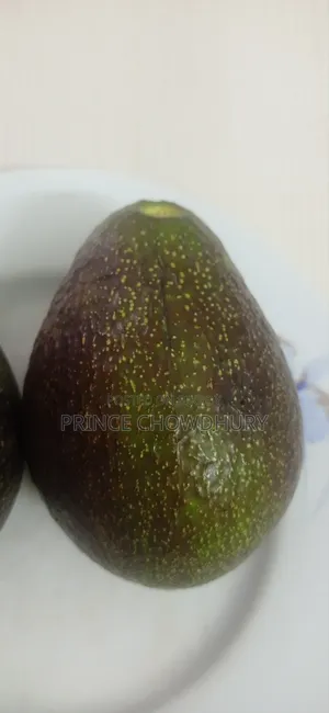 Homegrown Avocado Fruit for Sale, Contact Us