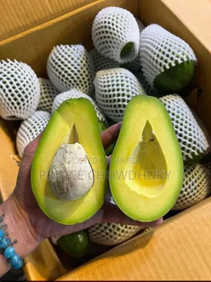 Homegrown Avocado Fruit for Sale, Contact Us