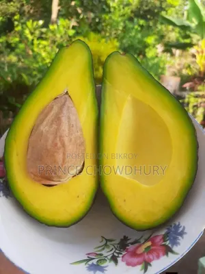 Homegrown Avocado Fruit for Sale, Contact Us