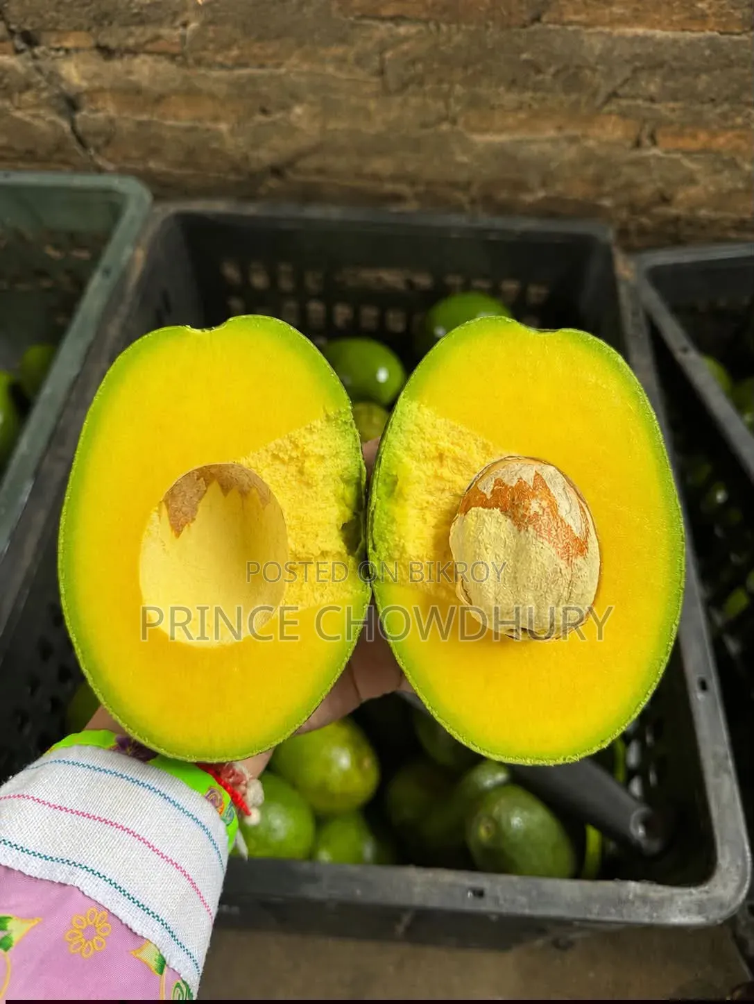 Homegrown Avocado Fruit for Sale, Contact Us