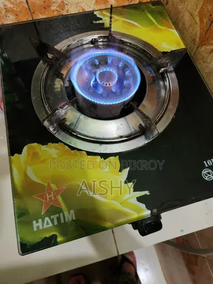 Gas Oven and Gas Cylinder