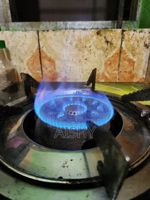 Gas Oven and Gas Cylinder