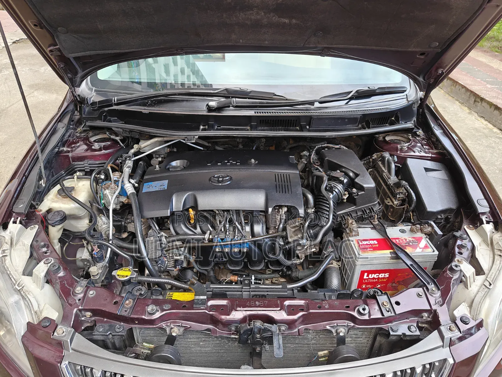 Toyota Premio 2011 Maroon