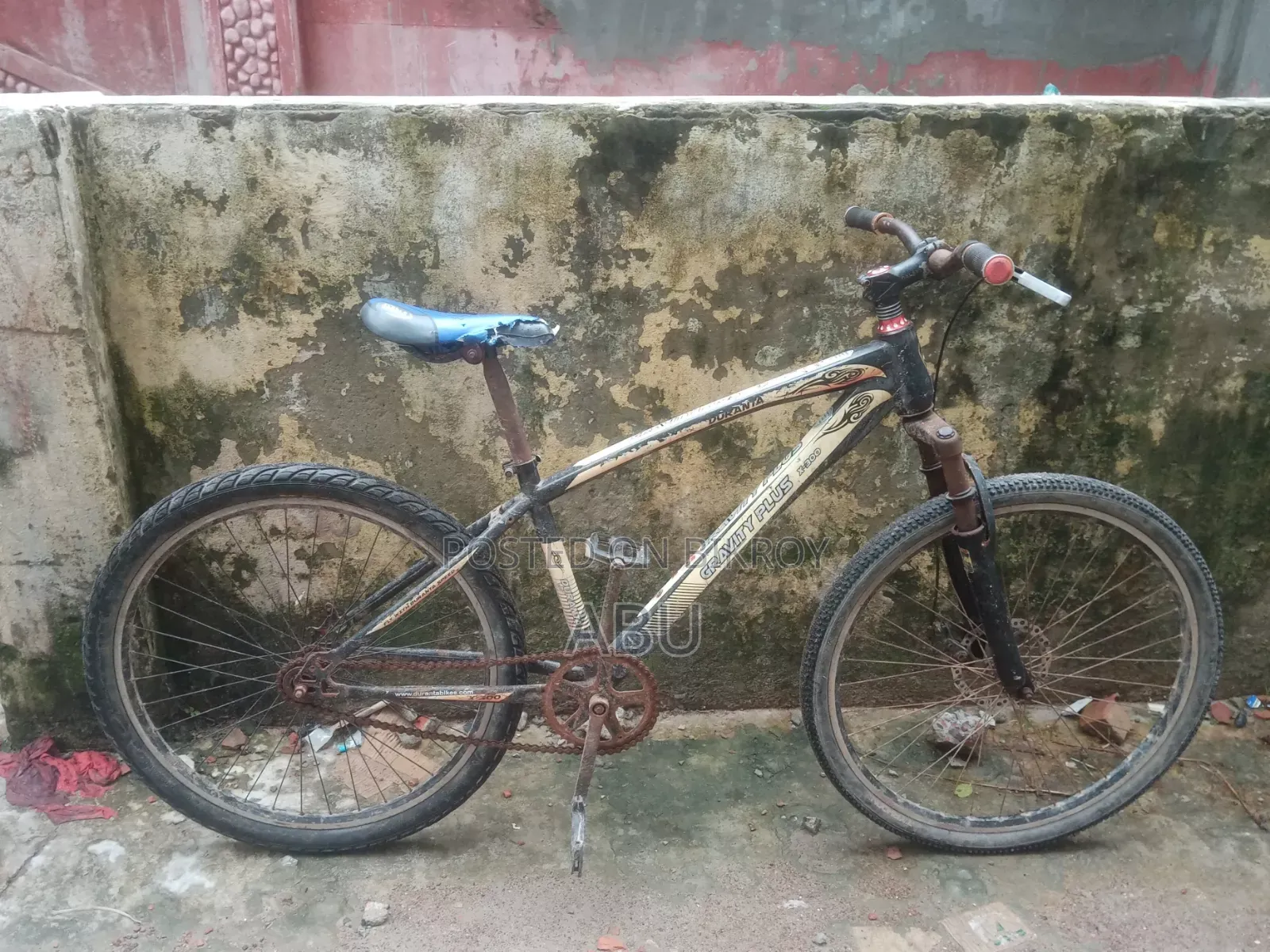 Phoenix Bicycle