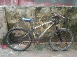 Phoenix Bicycle