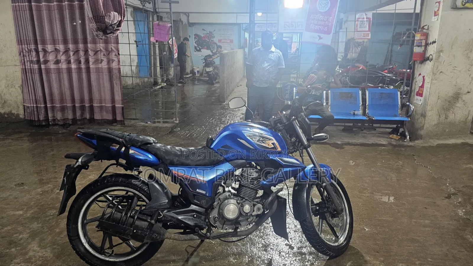 Benelli 2018 Blue