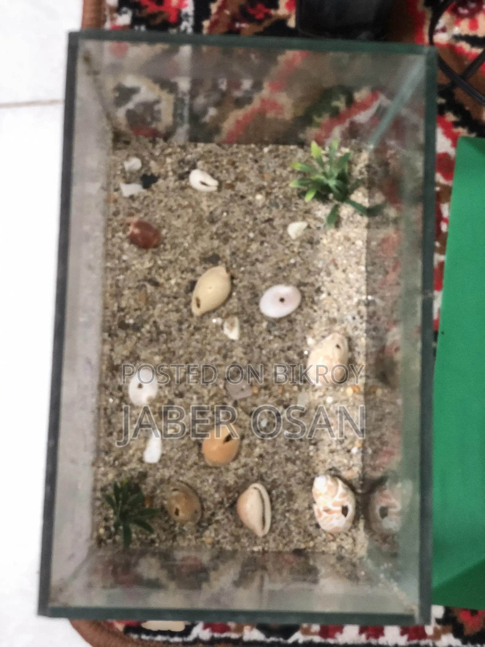 Aquriam for Sell