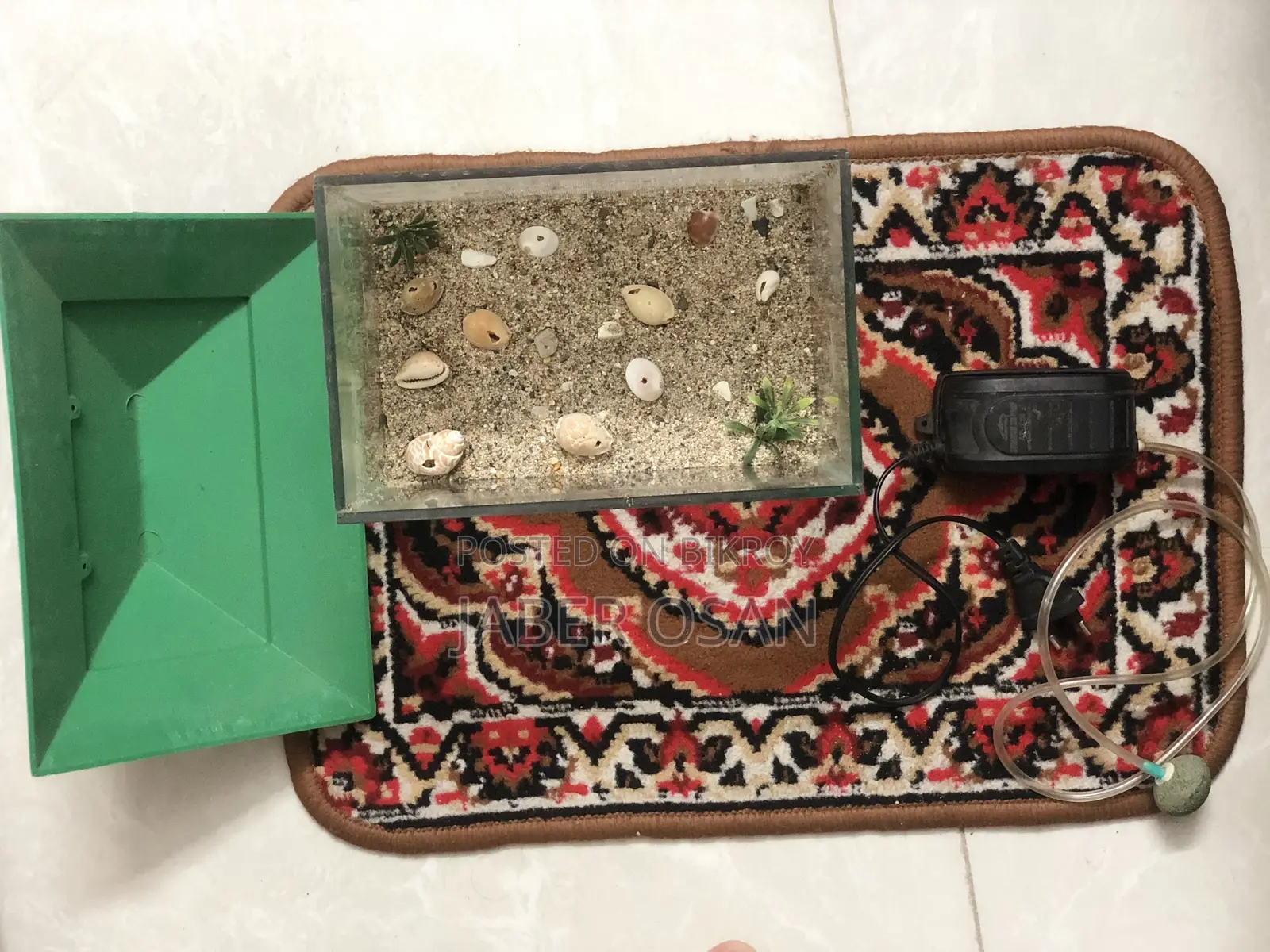 Aquriam for Sell