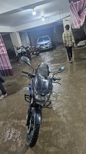 Bajaj Pulsar 150 2010 Black