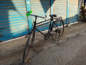 The cycle has no bad sides, it is fine within this budget and is rideable as it is
