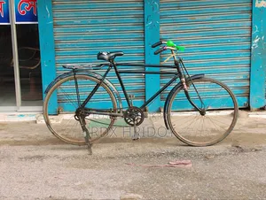 The cycle has no bad sides, it is fine within this budget and is rideable as it is